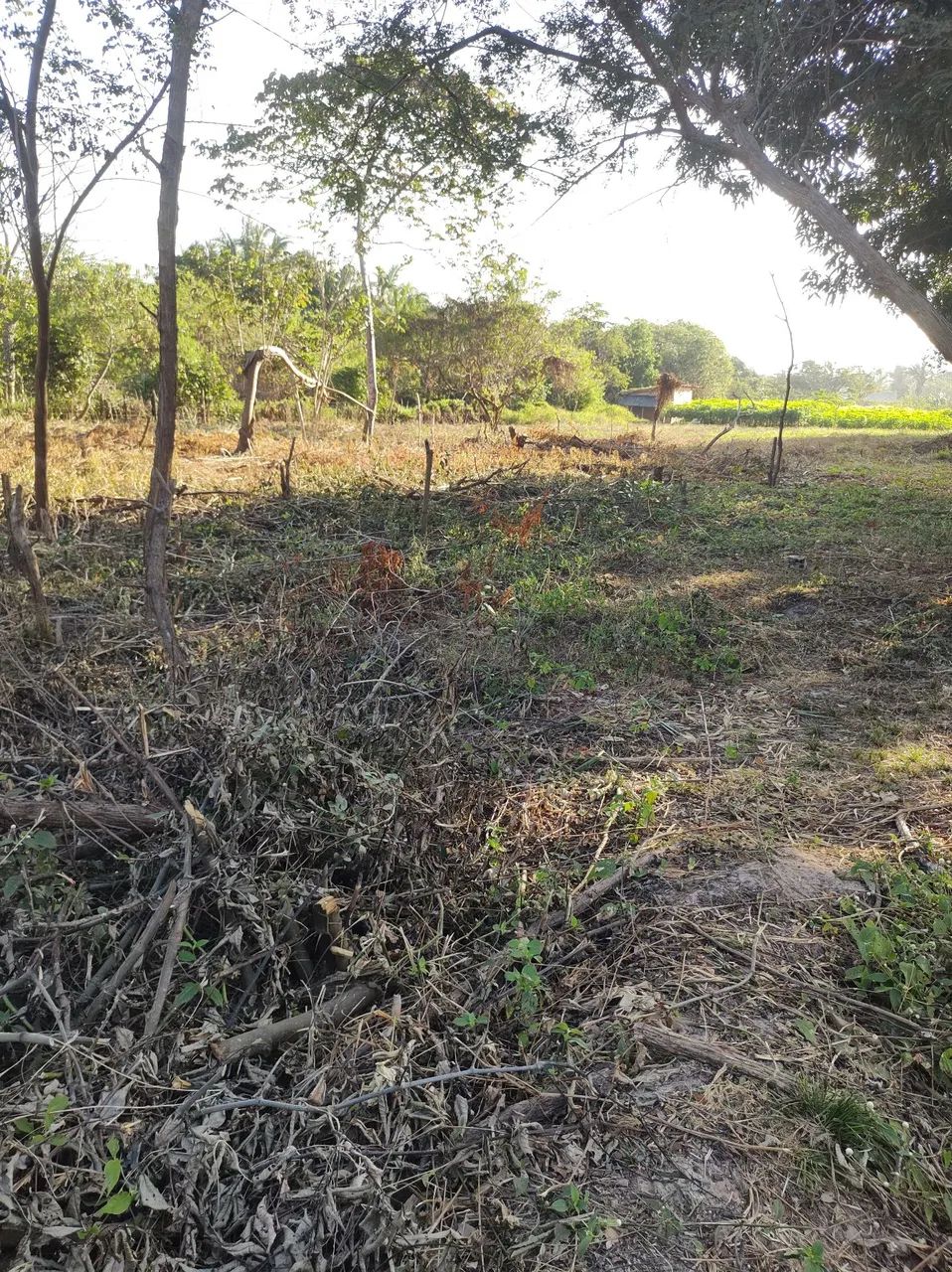 Terreno a venda - Foto 2