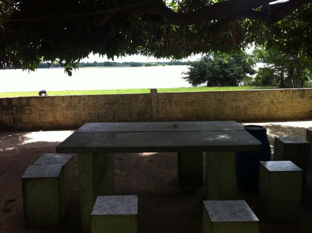 Fazenda Irrigada na Beira do Rio São Francisco - Foto 15