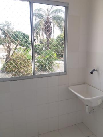 Ótimo apartamento 2 quartos - Foto 4