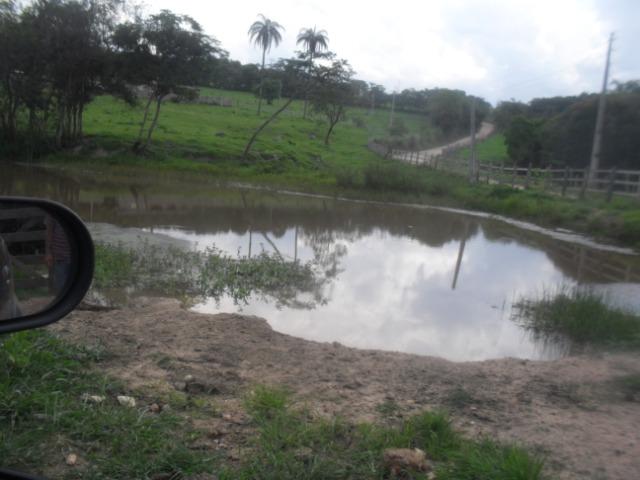 Fazenda com 22 hectares em Rio Manso - Foto 3