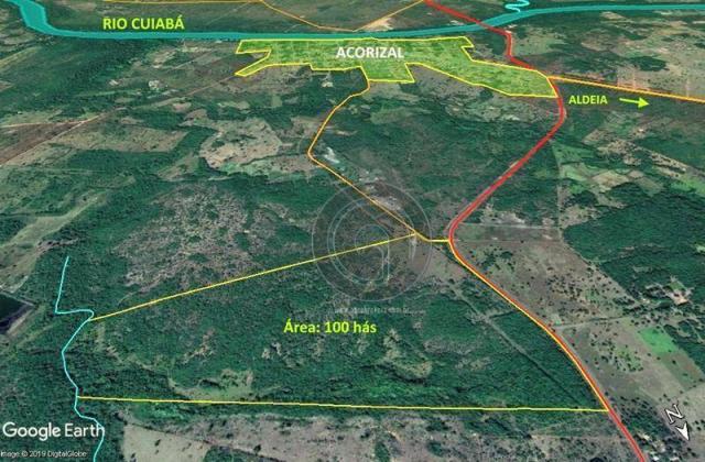 Fazenda 100 ha em acorizal - Foto 8