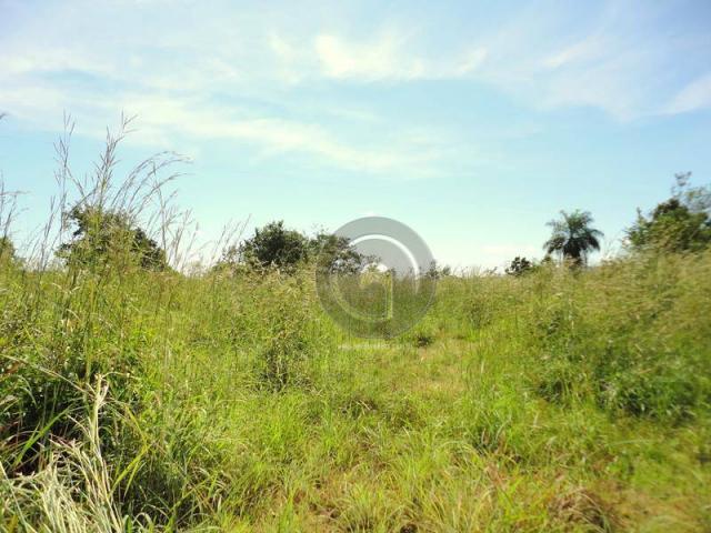 Fazenda 100 ha em acorizal - Foto 6