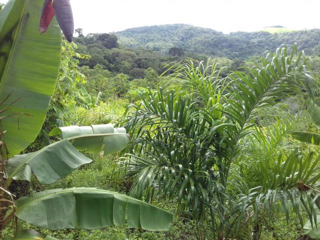 Fazenda Marau/Ubaitaba - Foto 18
