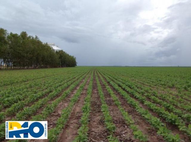 Fazenda Venda no Oeste Baiano Barreiras BA e outras Regiões Soja - Foto 4