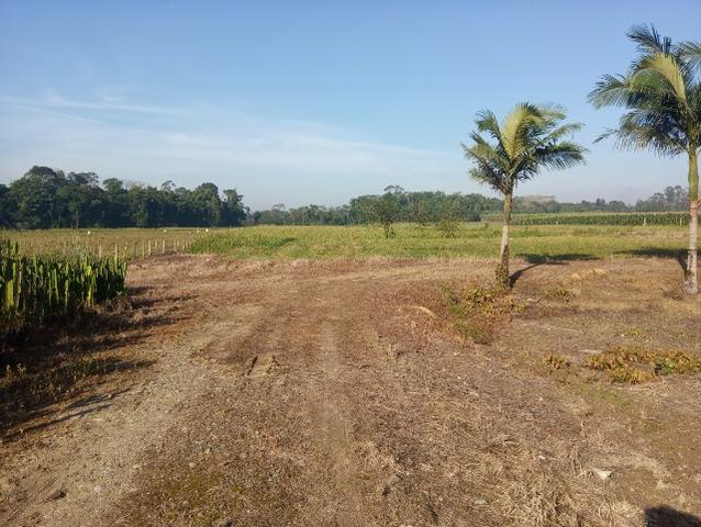 Alugo propriedade rural em pirabeiraba - Foto 6