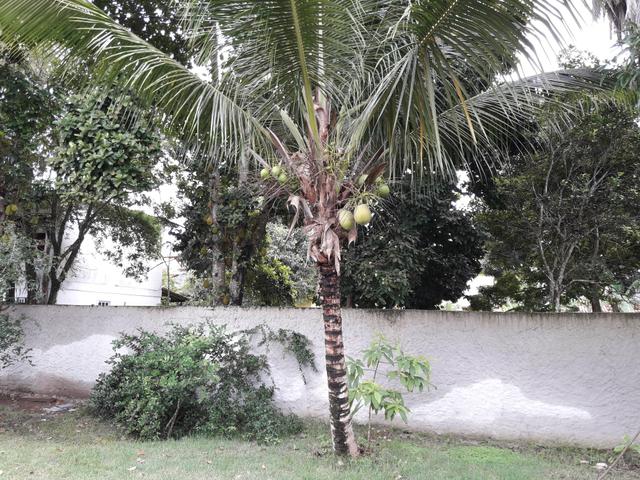 Alugo casa para temporada Porto Seguro BA - Foto 18