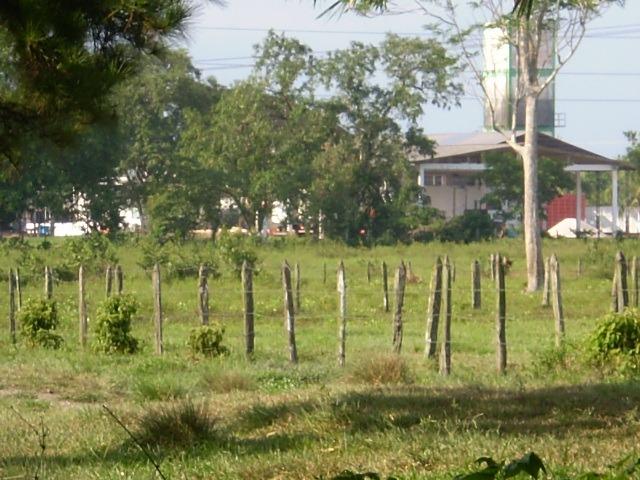 Área 32 Hectares na BR 316 Km 21 ao lado da Policia Rodoviária e Verbras - Foto 11