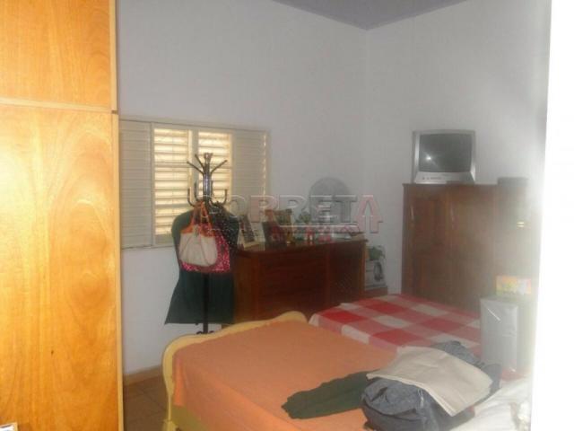 Casa à venda com 3 dormitórios em Vila mendonca, Aracatuba cod:V9917 - Foto 6
