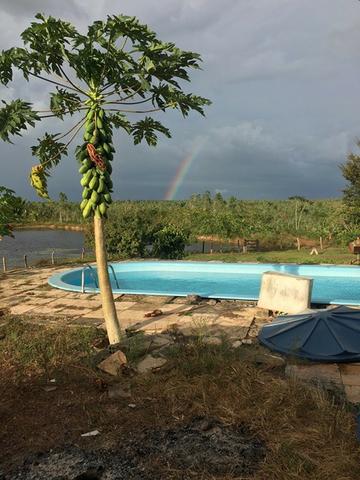 Fazenda - Foto 13