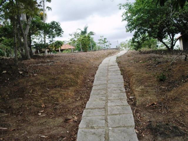 COD-116: Sítio em Bicuiba - Saquarema - Foto 2