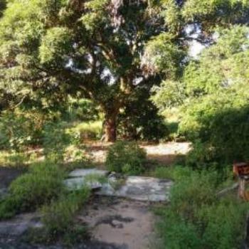 Sitio 4.000 Água Branca - Saquarema - Foto 19