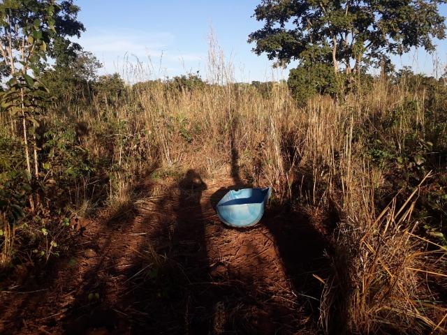 Chácara de 38,2 hectares, ha 66 km de Cuiabá, em Acorizal ! - Foto 13