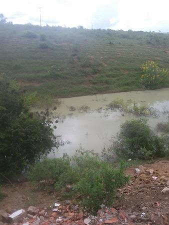 Vendo fazenda de Pecuária com 1.720 hectáres - Foto 4