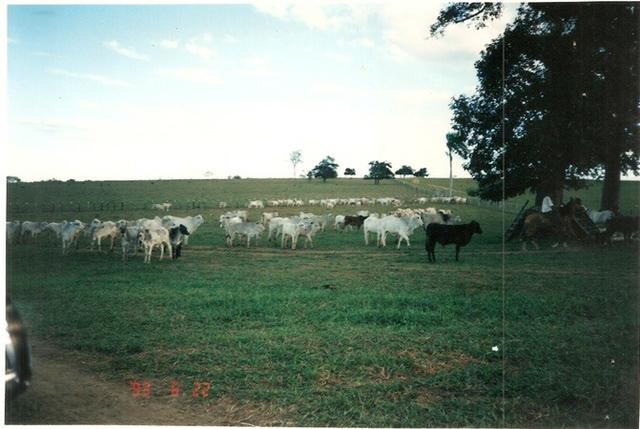 Vendo fazenda de Pecuária com 1.720 hectáres - Foto 8