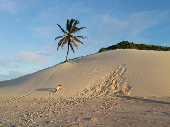Vendo Área na beira mar da Praia de Pititinga - Foto 8