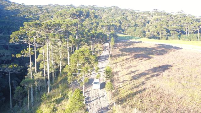 Terreno com vista em Urubici ao lado do Morro da Igreja terreno/lote/área - Foto 10