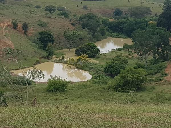 Vendo fazenda de Pecuária com 1.720 hectáres - Foto 16