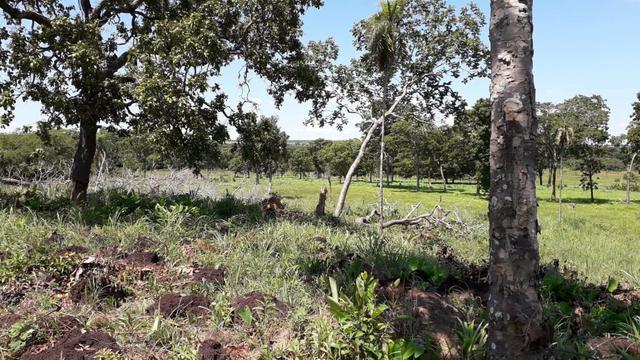 Chácara no município de Cariri do Tocantins