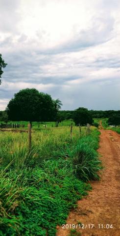 Chácara no município de Cariri do Tocantins - Foto 12