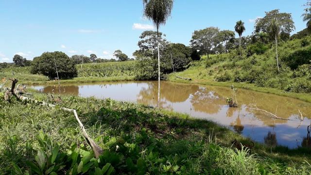 Chácara no município de Cariri do Tocantins - Foto 9