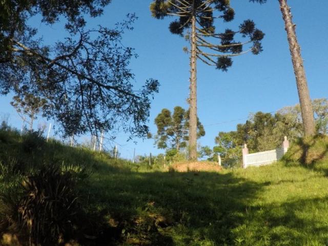 Chácara nà venda - barro preto - são josé dos pinhais/pr - Foto 12