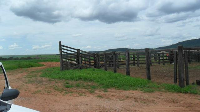 Fazenda de 67 alqueires para lavoura a venda na região de Paraúna GO - Foto 11
