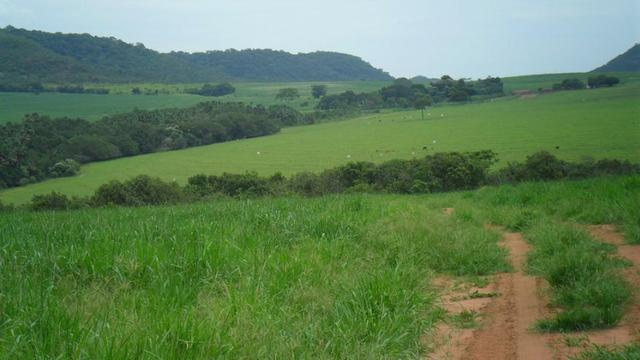 Fazenda de 67 alqueires para lavoura a venda na região de Paraúna GO - Foto 6