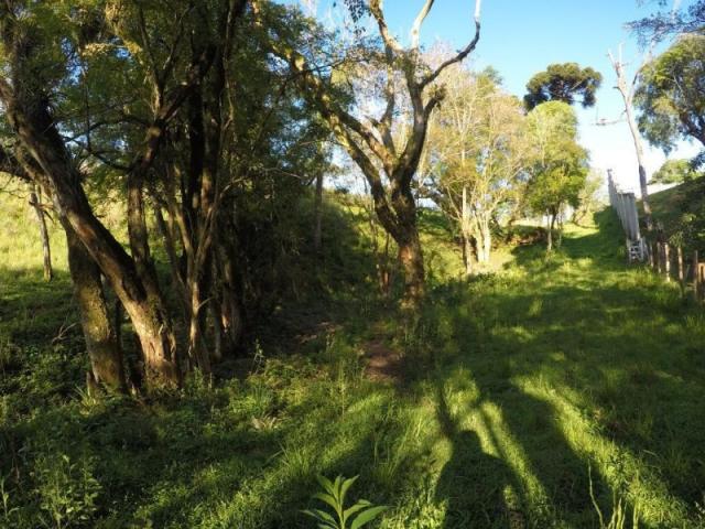 Chácara nà venda - barro preto - são josé dos pinhais/pr - Foto 2