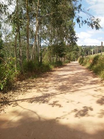 Vendo- Chácara em Soledade de Minas! - Foto 5