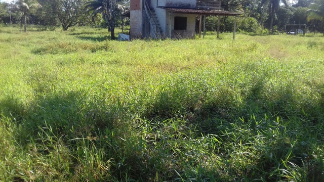 Sítio no Pará,20 hectares com pasto, curral, casa ,igarape por 250 mil reais - Foto 11