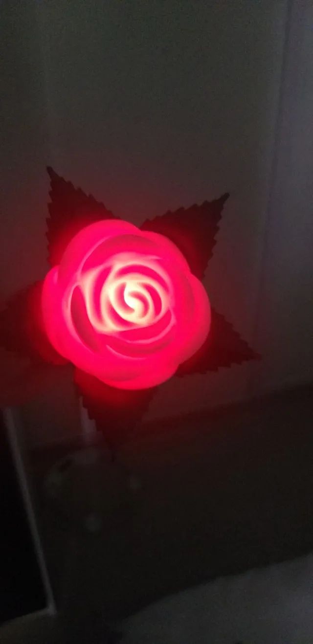 Decoração Rosa luminosa diversos tons - Foto 5