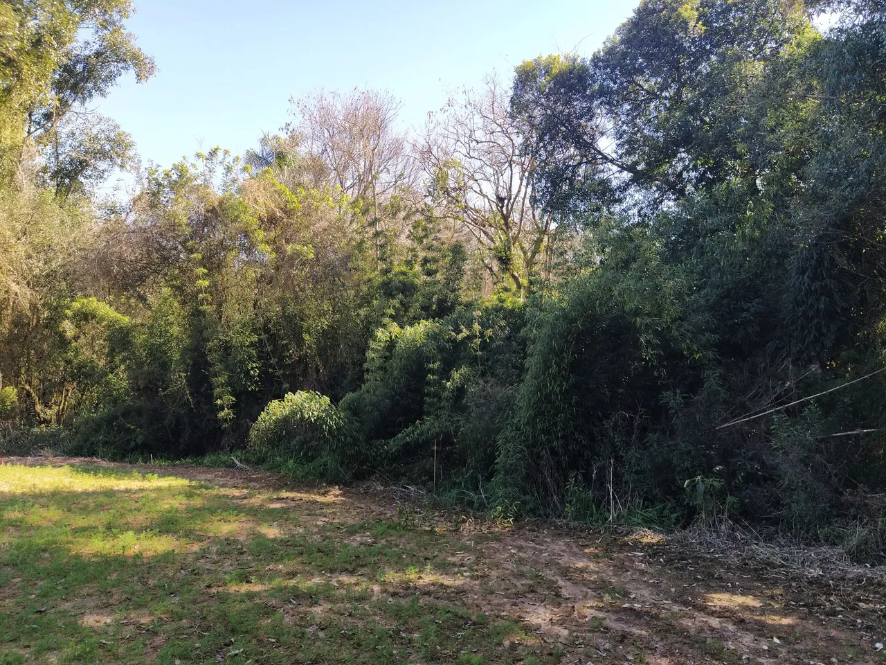 Sítio Reserva Ribeirão 