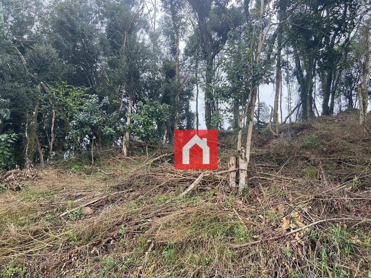 Belíssima chácara em Nova Sardenha!! - Foto 5