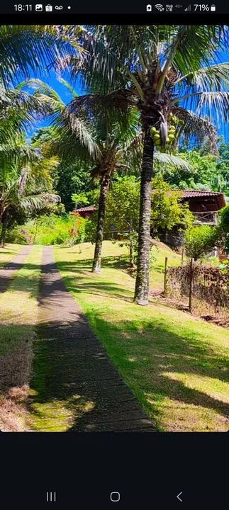 foto - Angra dos Reis - Areal (Cunhambebe)