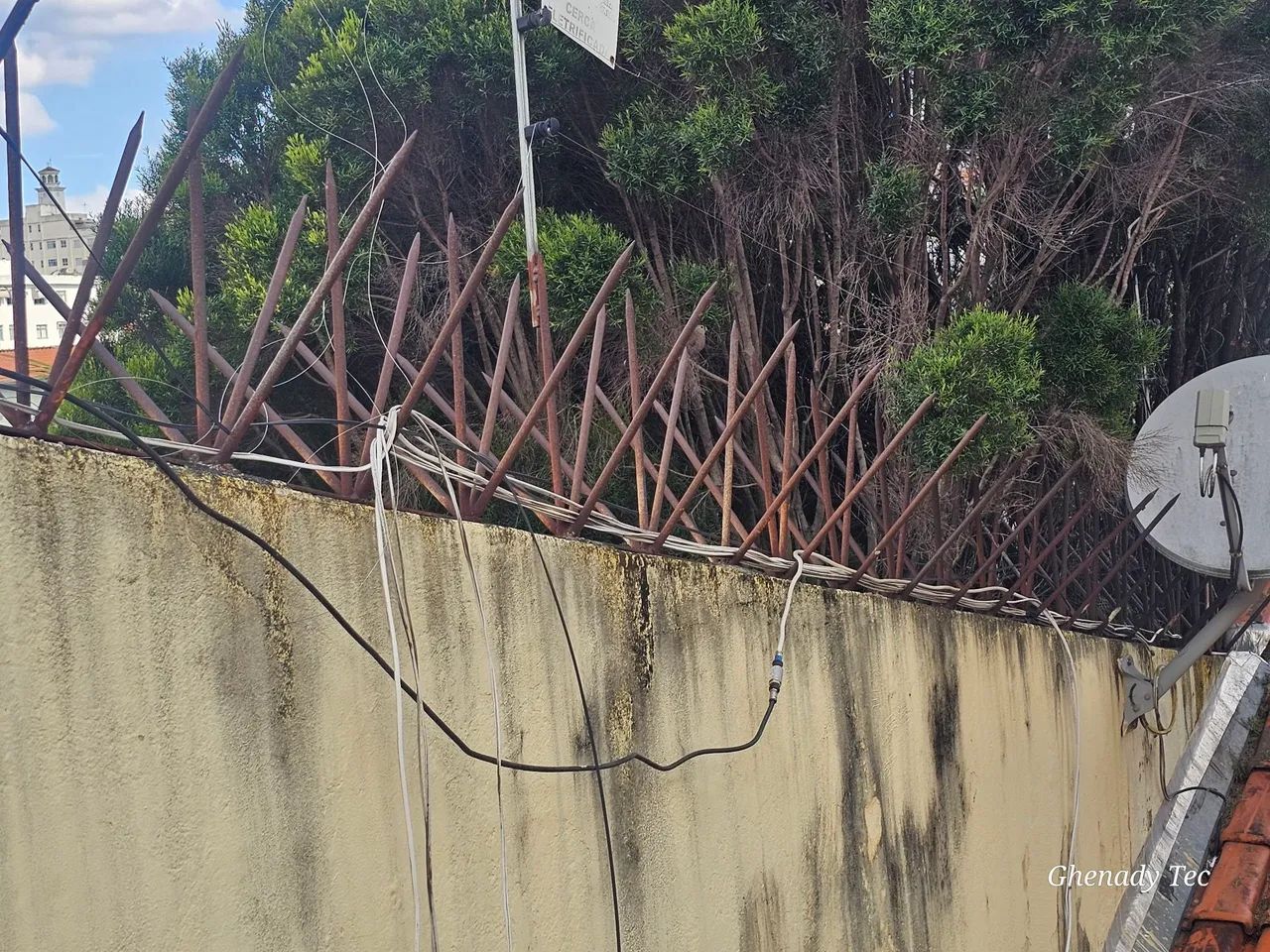 Lança de proteção para muro (Espicula)