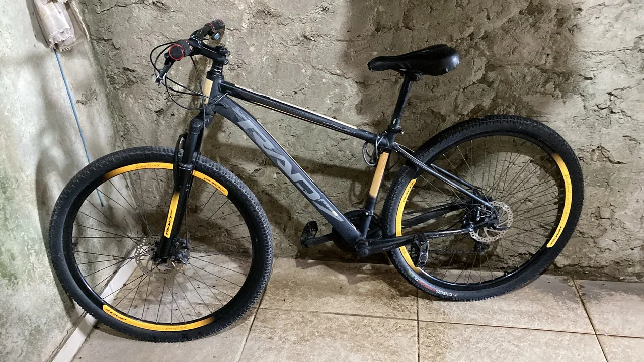 Bicicleta aro 29 RAD7
