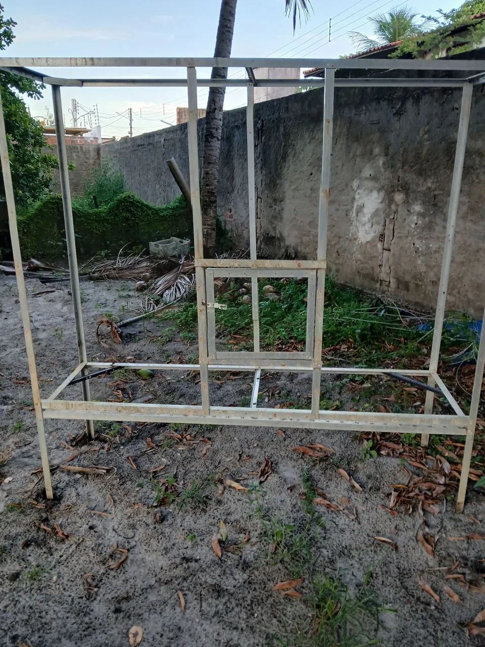 Animais de estimação  - Foto 3