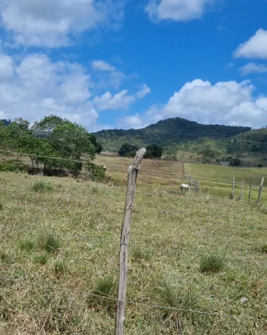 Fazenda 174 Tarefas