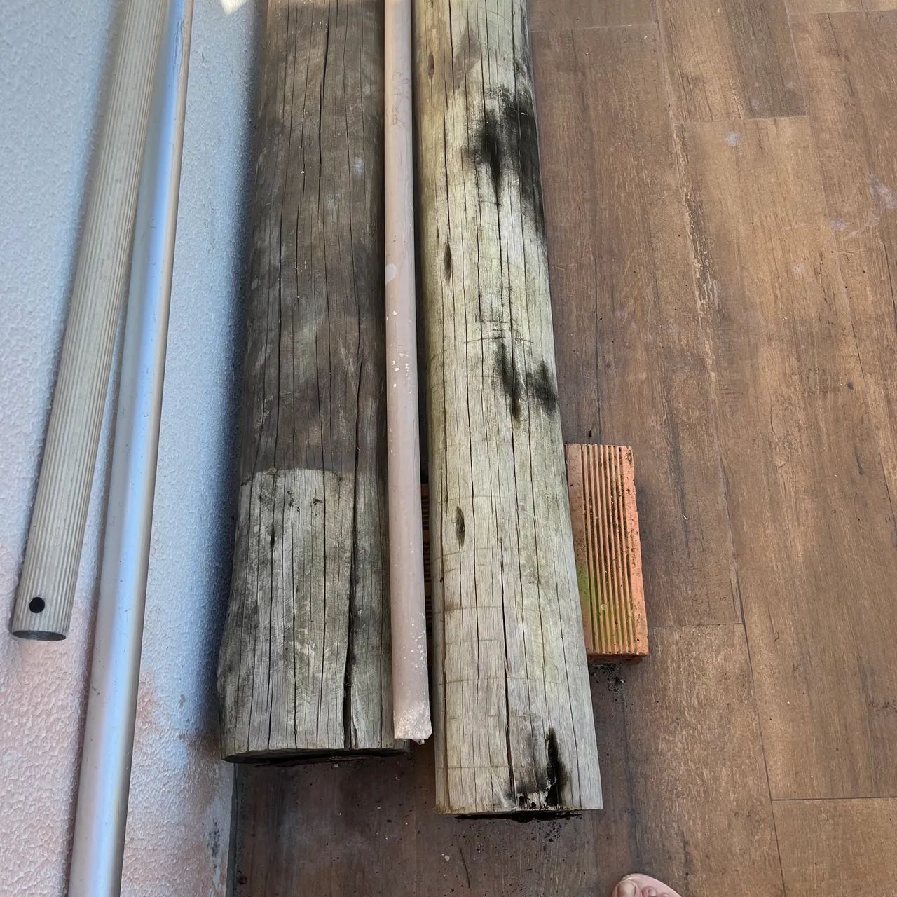 Tora de eucalipto 64962672409859120