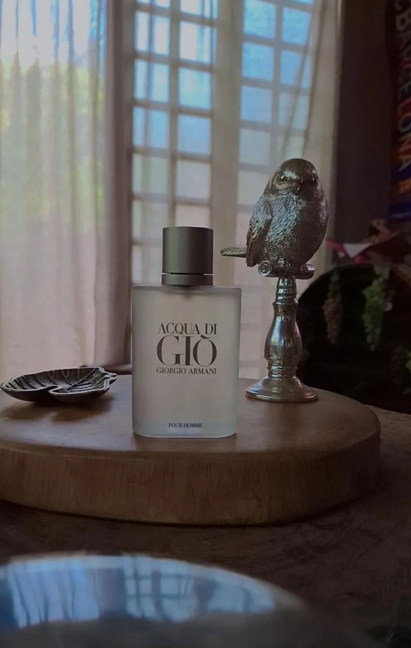 Perfume Acqua di Gio Giorgio Armani - 100ml
