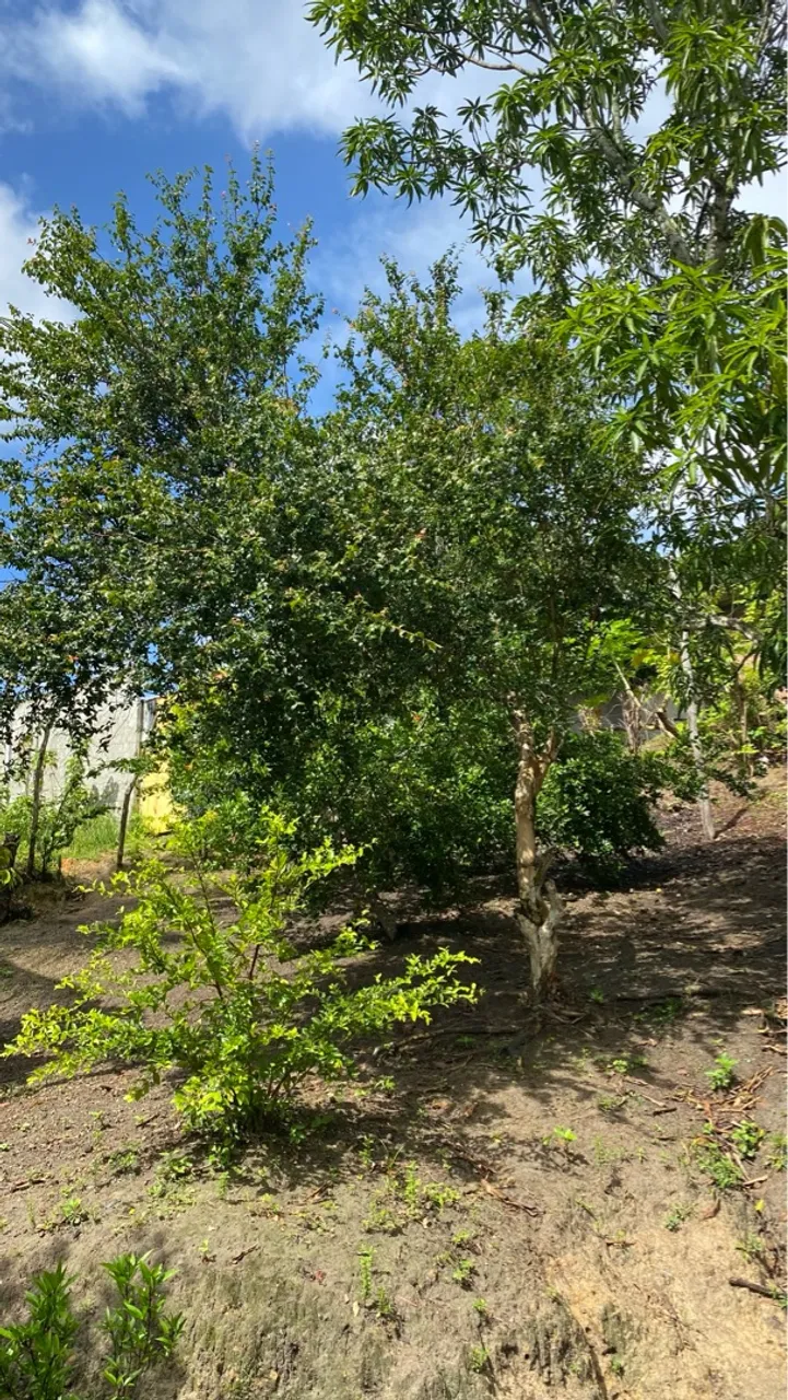 Terreno 7x14