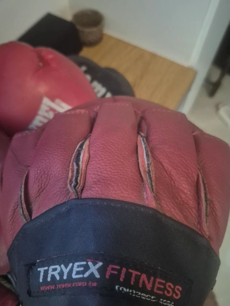 Luvas boxe + aparador de soco64314890758915123