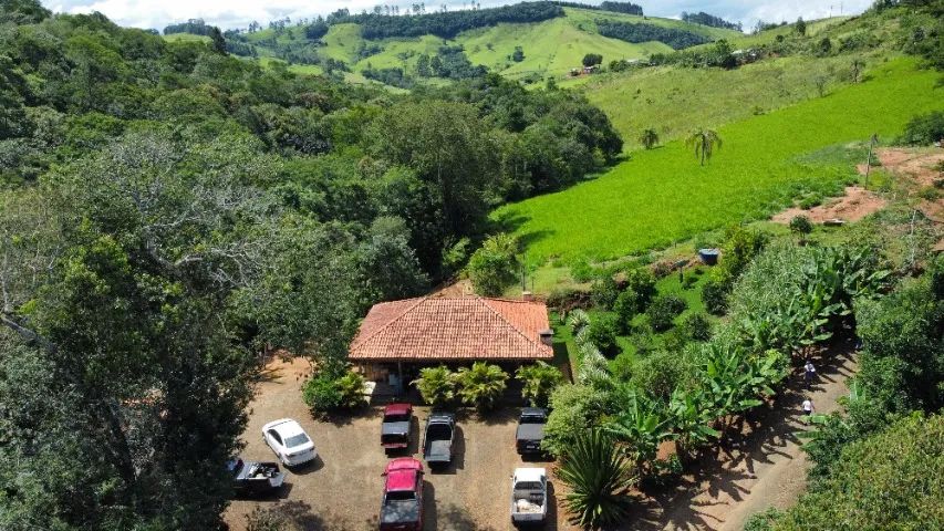 Sítio 102.850mts Rico em Água (Entre Ventania x Curiúva) - Foto 2