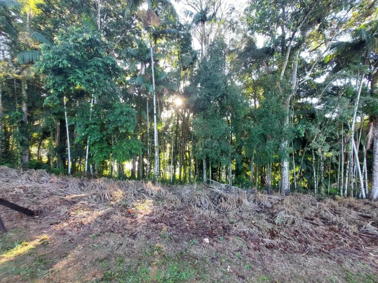 OPORTUNIDADE - Terreno Loteamento Mont Blanc, próximo a Vila Germânica no Bairro da Velha