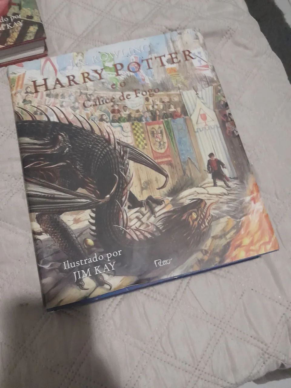 Harry Potter livros ilustrados - Foto 4