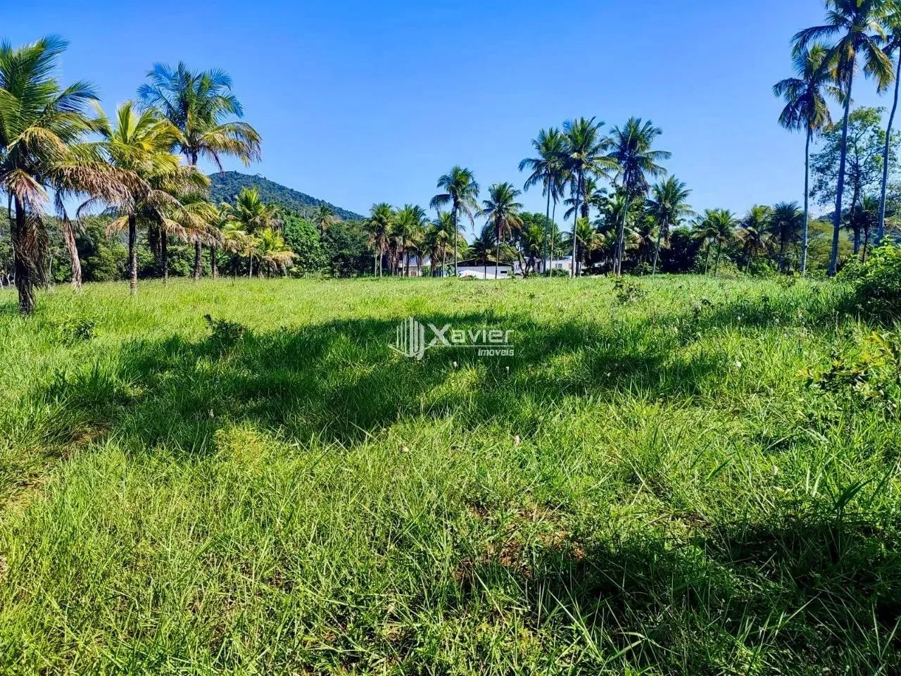 Sítio à Venda - 12,7 Hectares em Belo Horizonte de Anchieta/ES