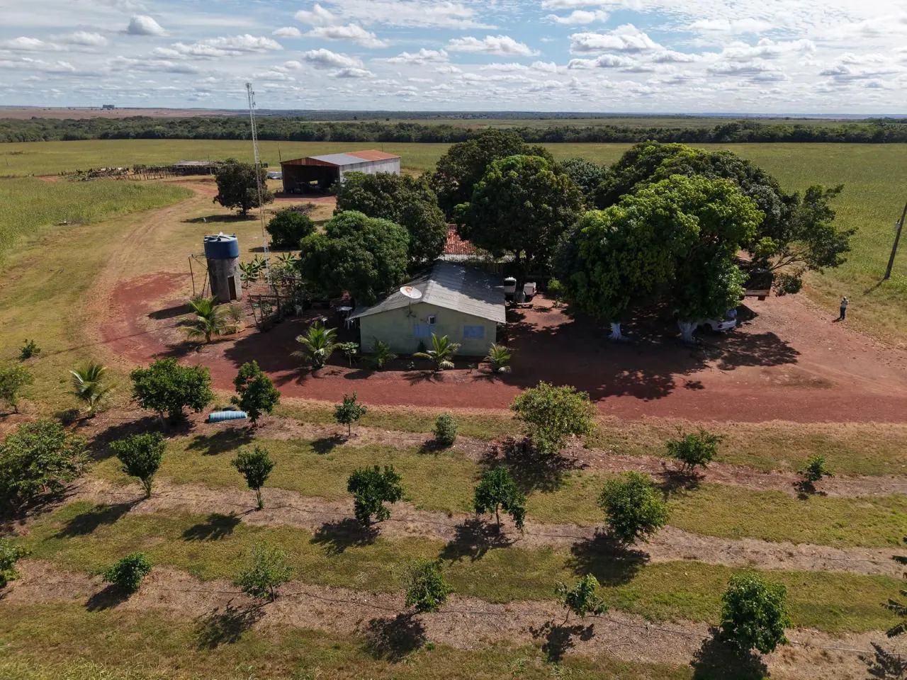 Fazenda de arrendamento 600hec em Canarana MT. - Foto 8