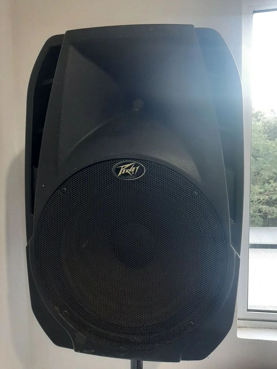 Caixa de Som Peavey