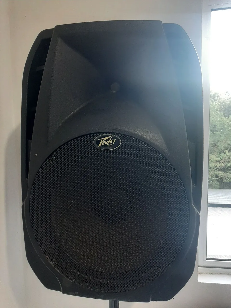 Caixa de Som Peavey