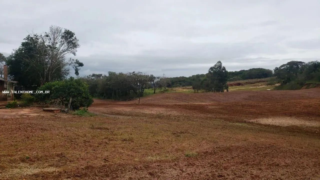 Área Rural para Venda em Faxinal - Foto 3